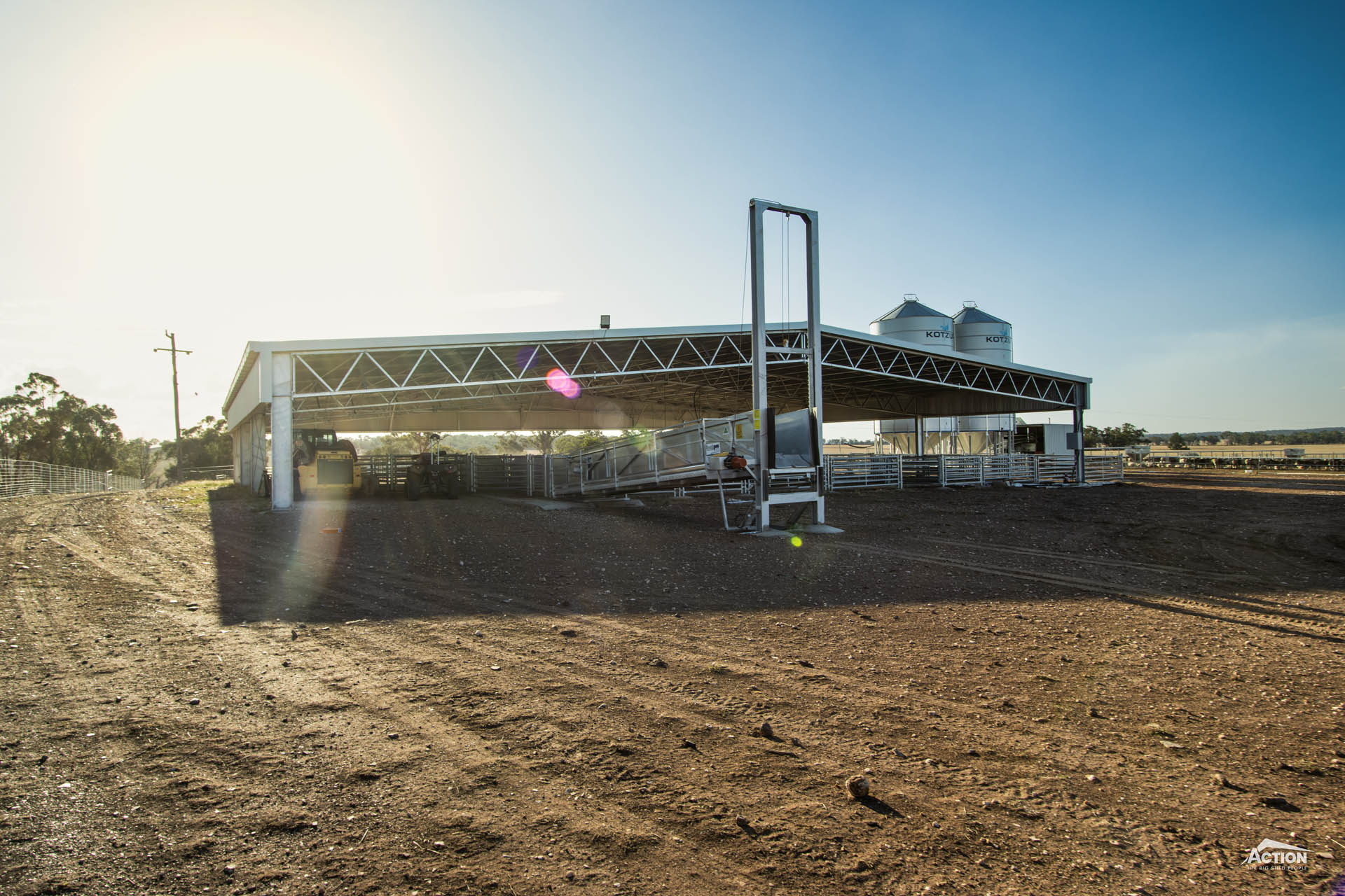 You are currently viewing 25m x 30m x 3.5m sheep yard cover