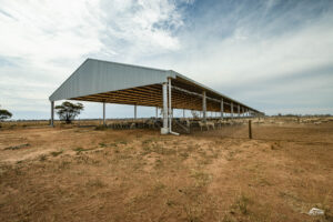 Lamb feedlot shed cost