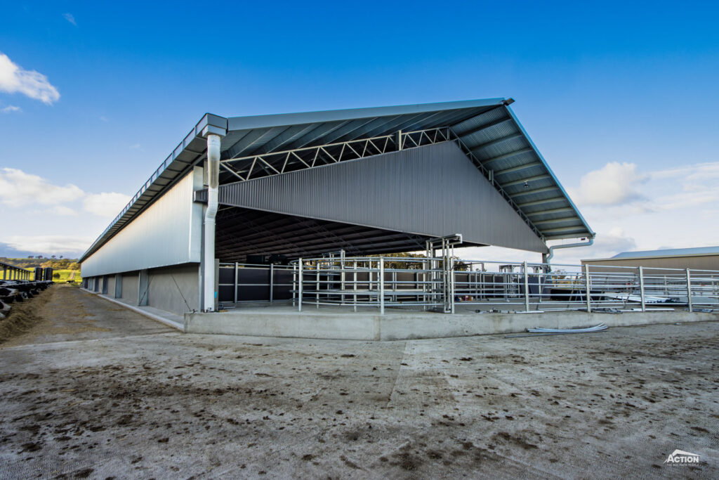24m span calving barn in gippsland