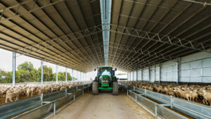 Lamb Feedlot Shed Terminology and Definitions Explained