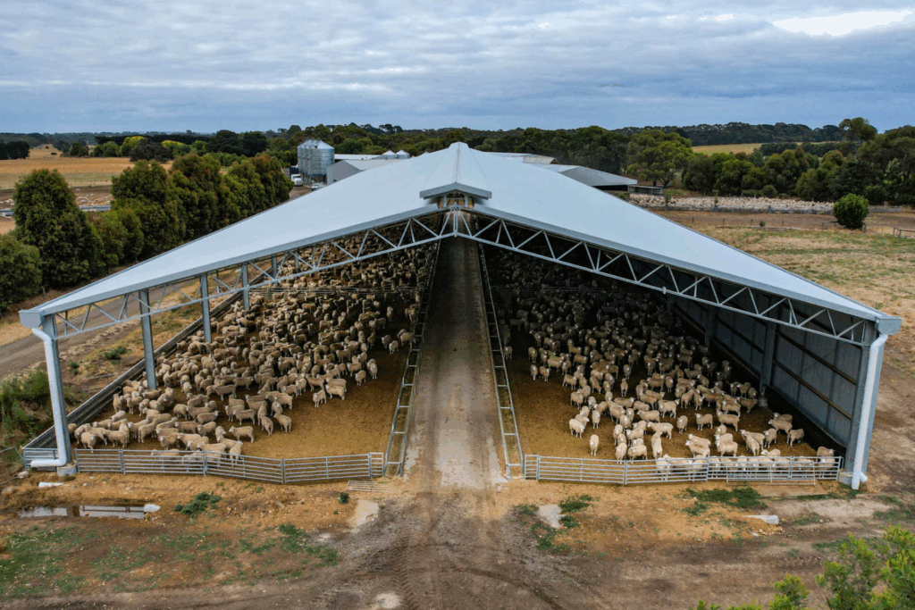 Lamb feedlot shed with pop top cover over ridge