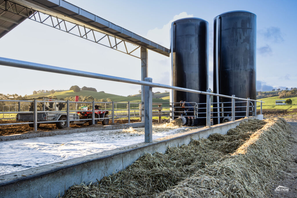 Feed alley in loafing barn