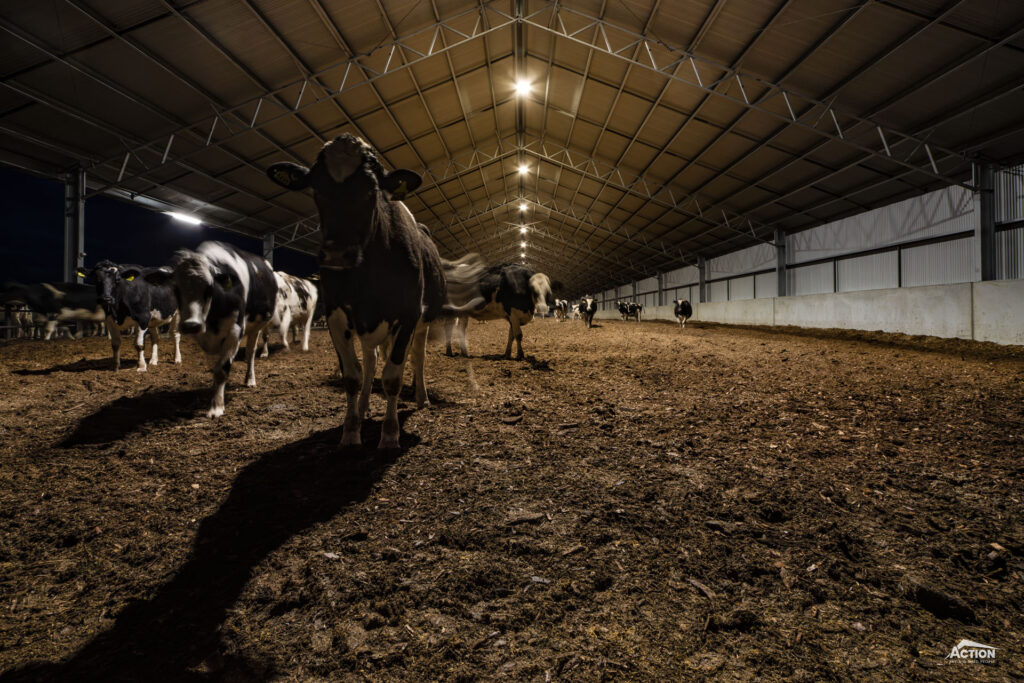 Lighting in barn
