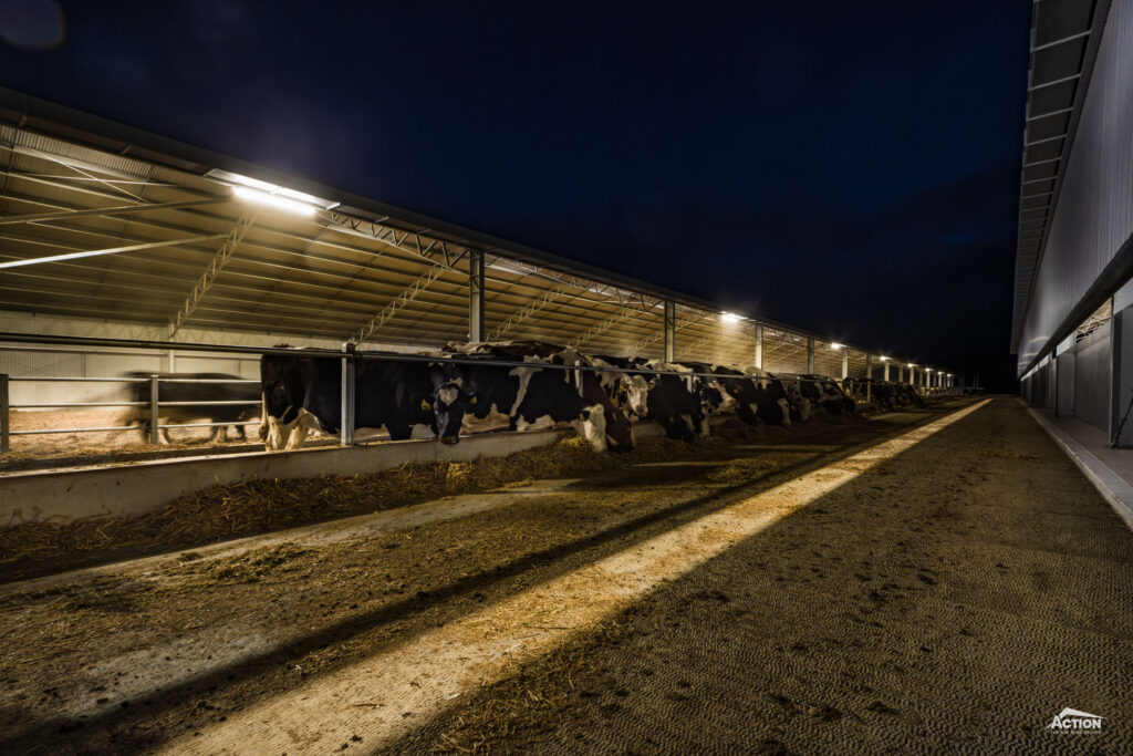 Loafing barn with lighting