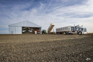 Grain shed at harvest, grain shed project timeframes