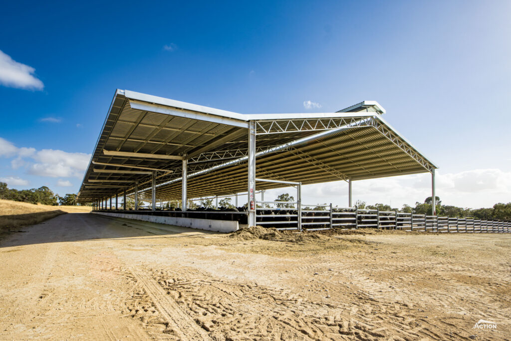 120m x 24m span beef feedlot shed