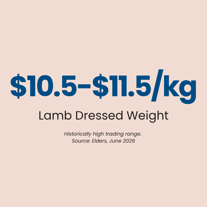 Australian sheep market 2026 lamb prices record high