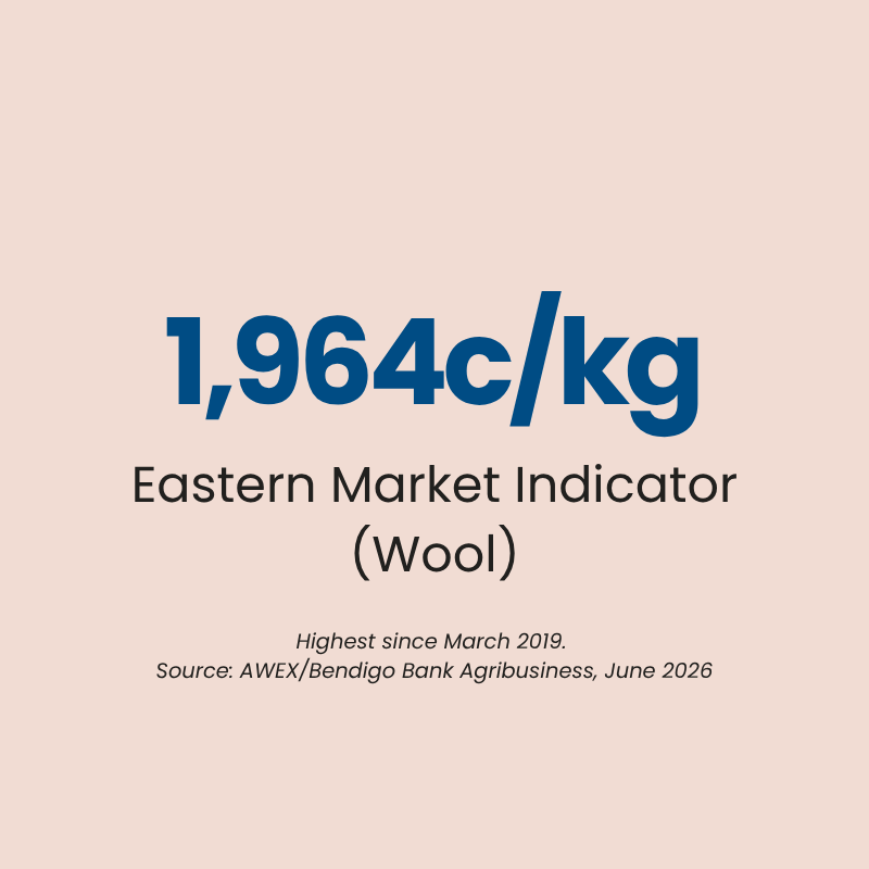 Australian sheep market 2026 wool Eastern Market Indicator