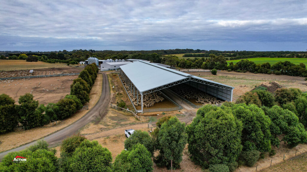 lamb feedlot in south west victoria