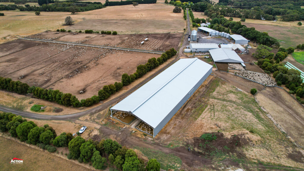 drone shot of lamb feedlot