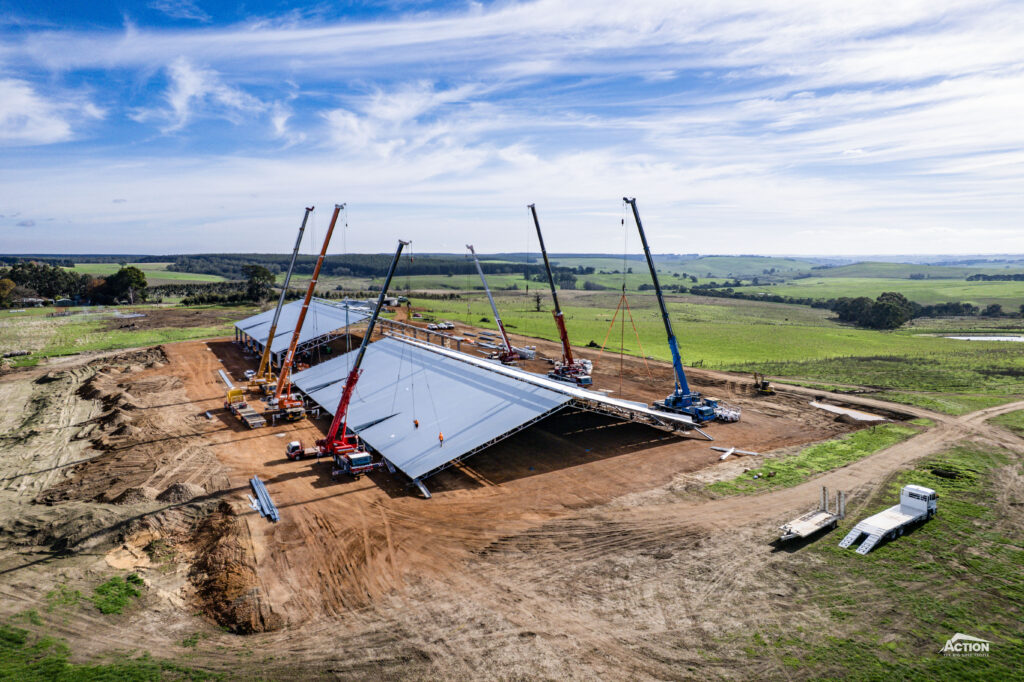 Lamb feedlot cover being erected