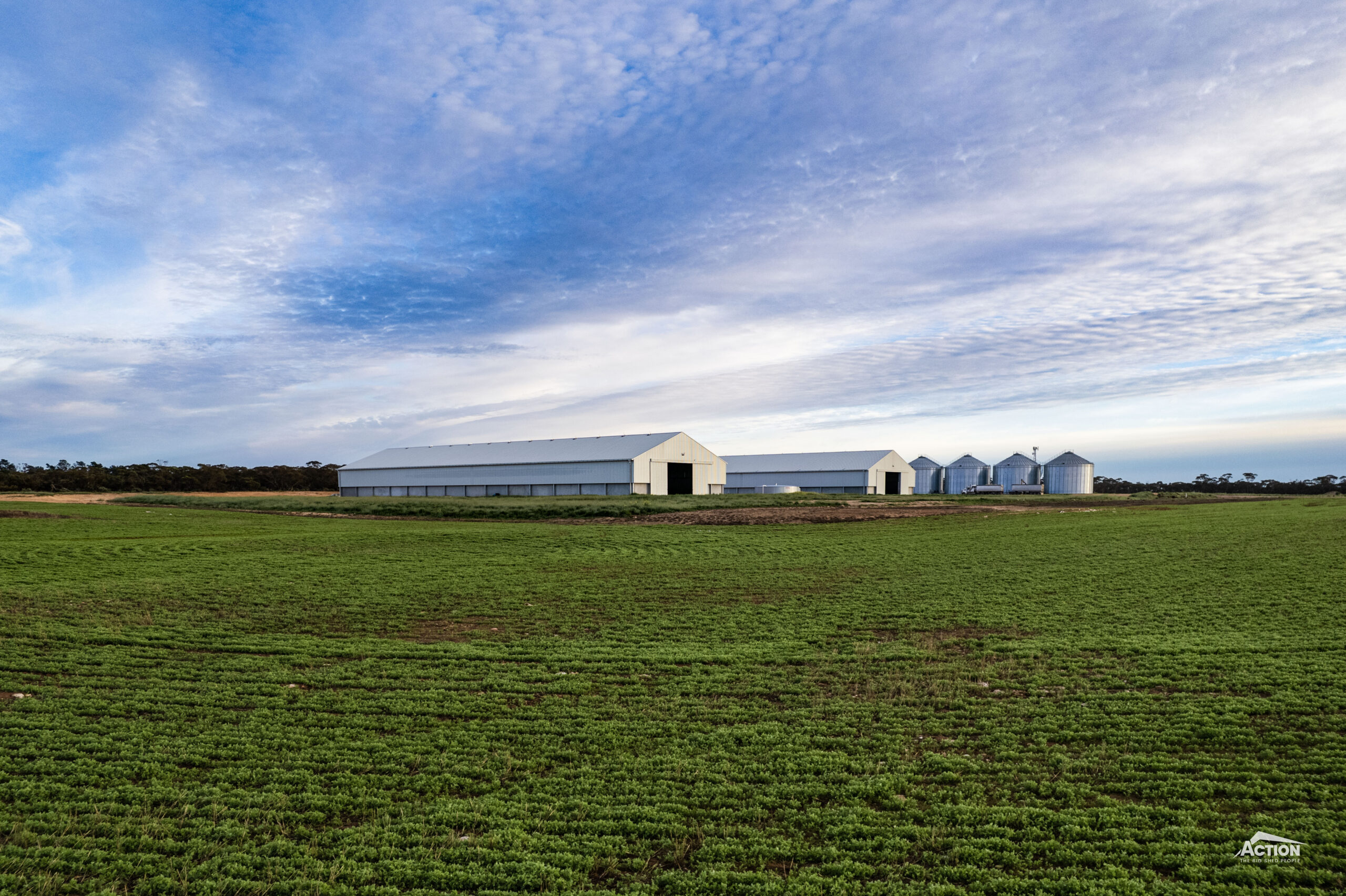 grain sheds and silos in a paddock