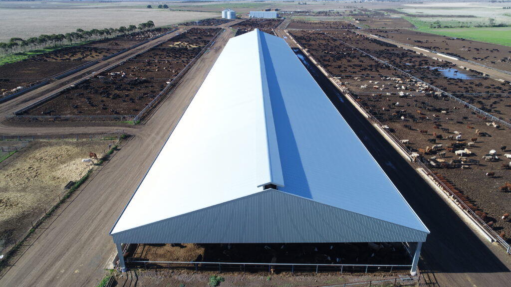 Jalna Beef Feedlot Roof Pitch & Vent