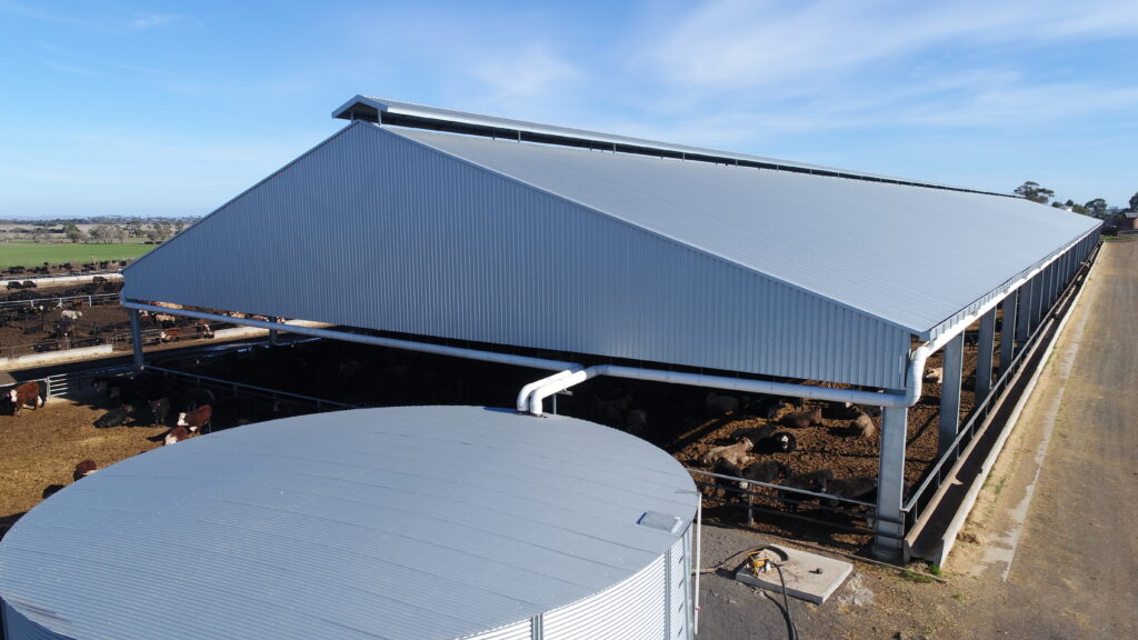 water harvesting and storage at beef feedlot