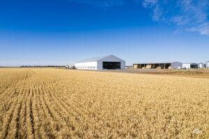 Grain Shed in paddock of wheat