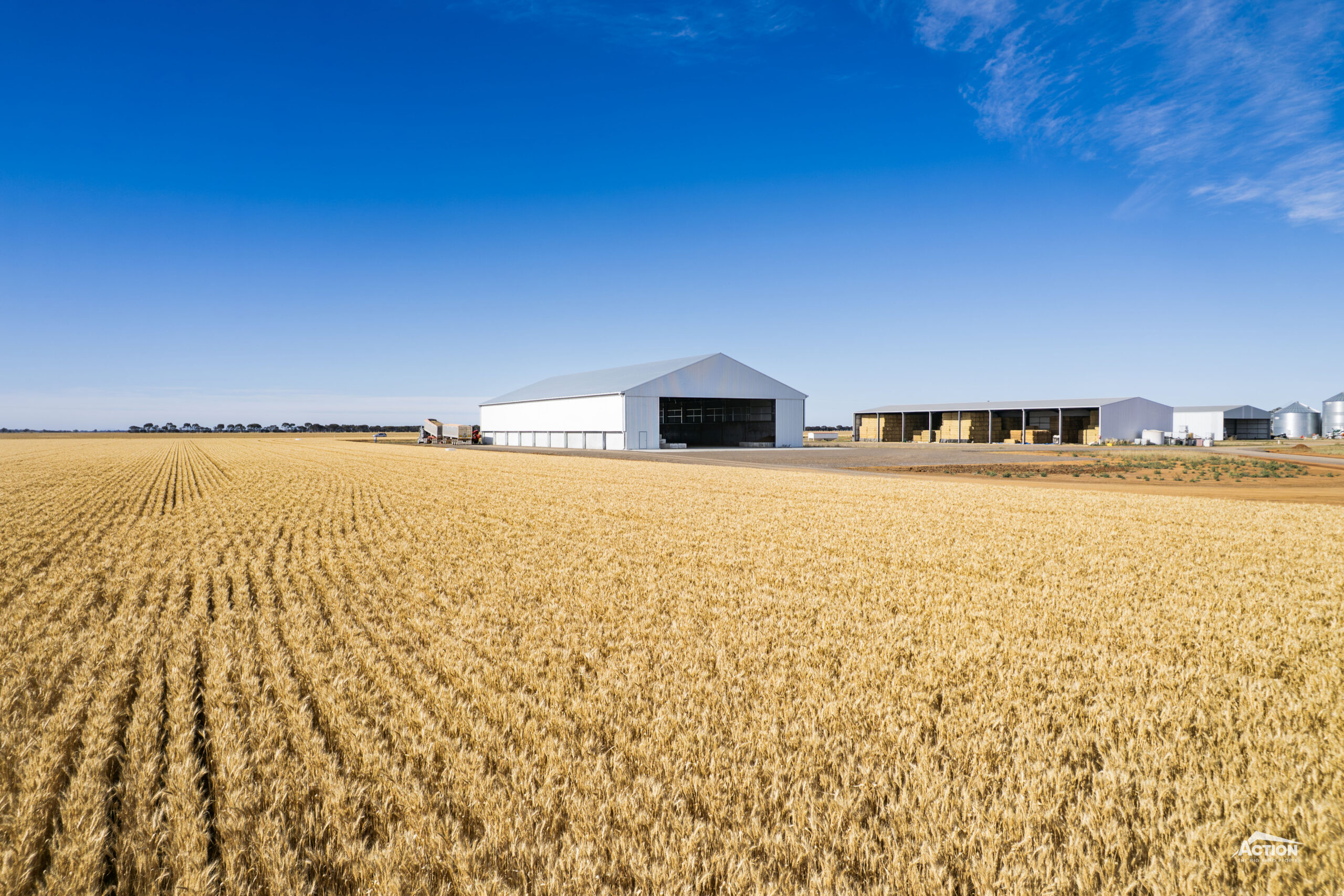 Grain Shed in paddock of wheat