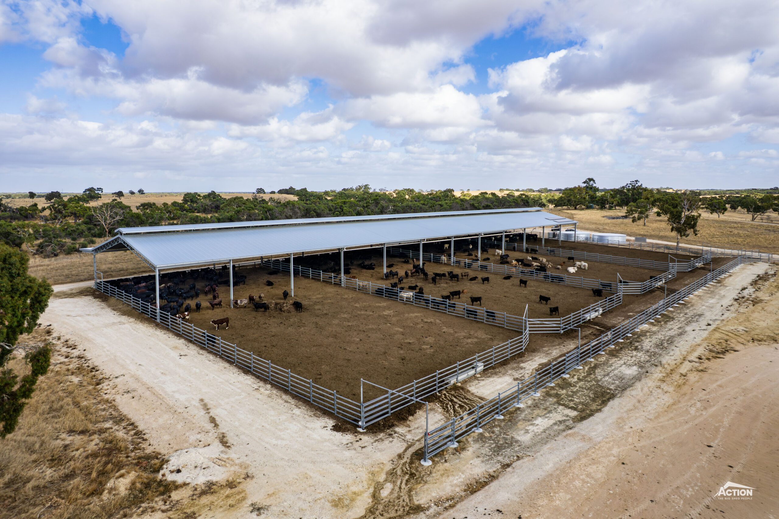 Beef Feedlot Drone Shot