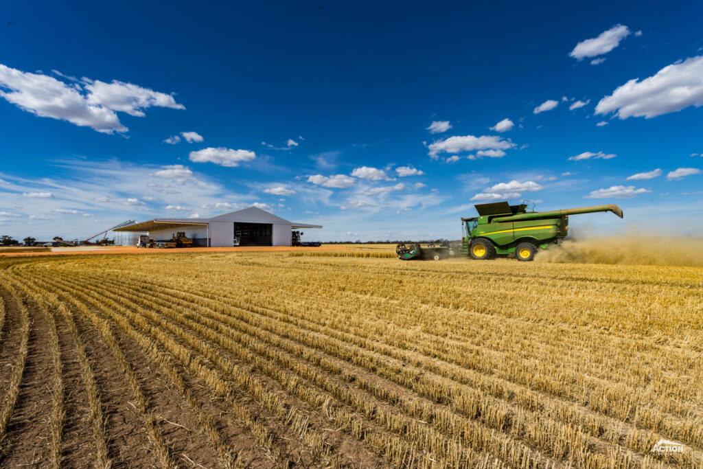 grain shed at harvest time