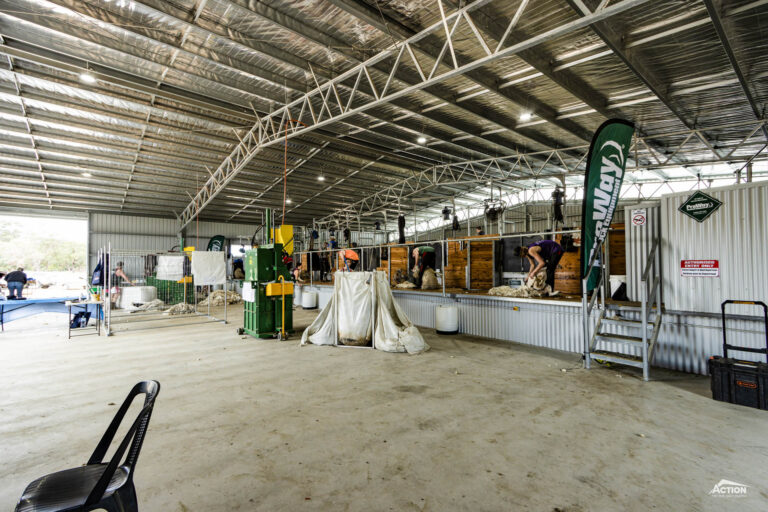 shearing shed wool room