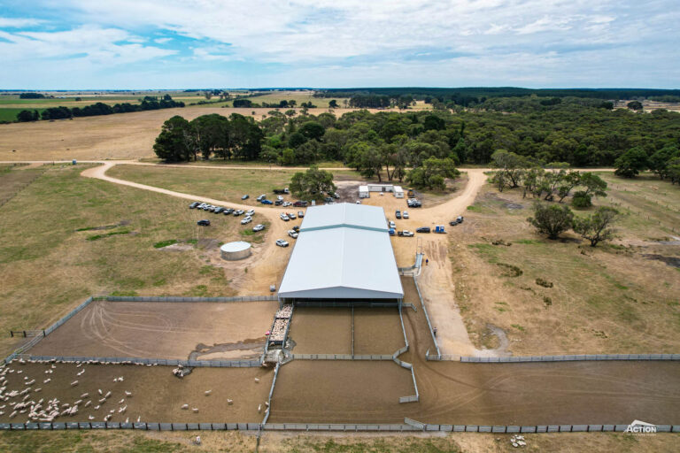 shearing shed drone shot