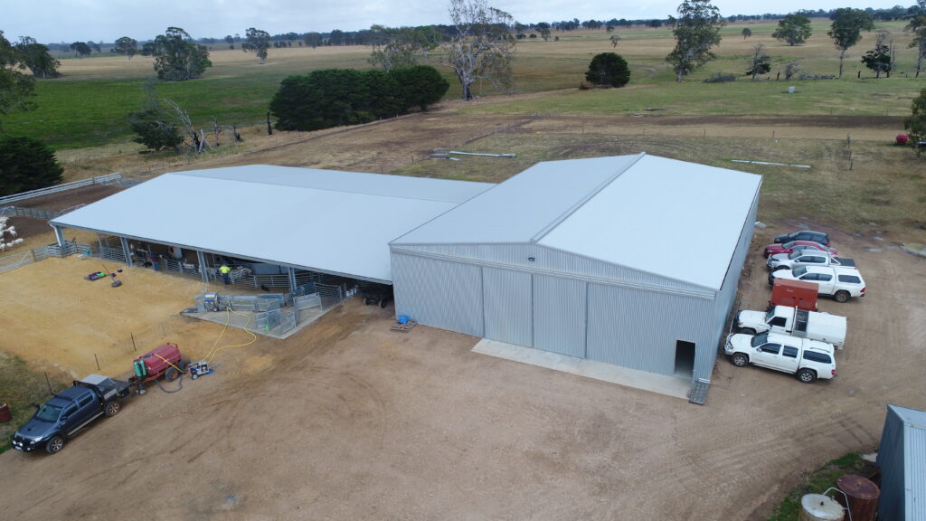 shearing shed