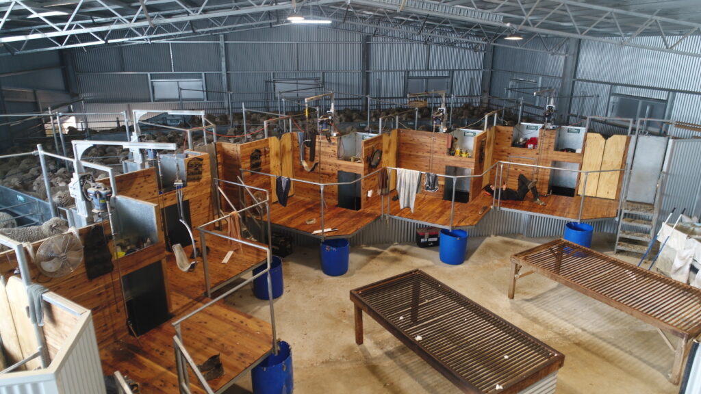 shearing shed board