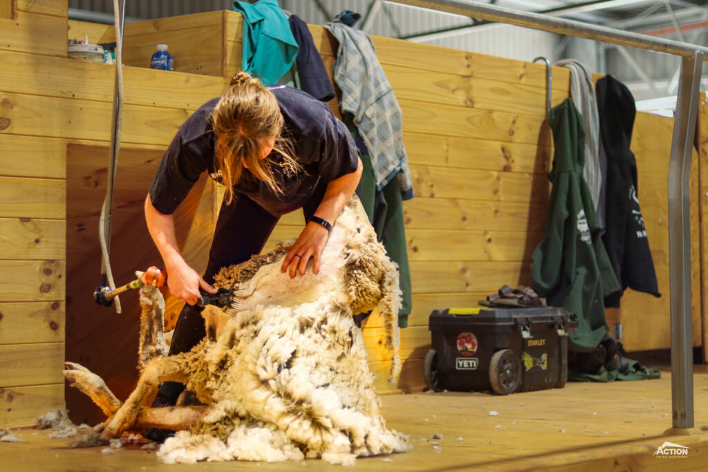 shearing